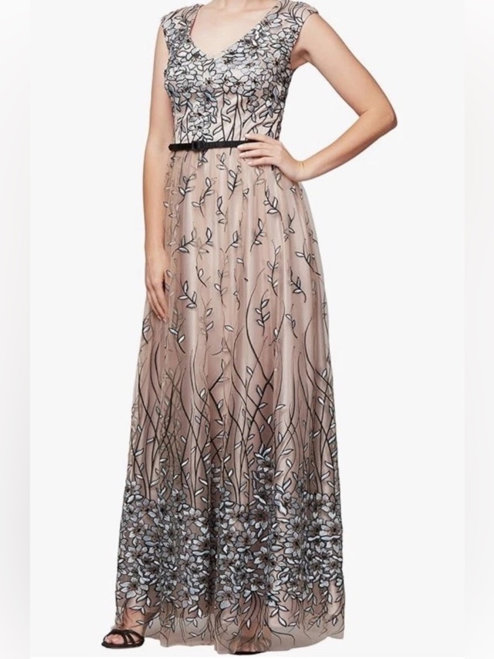 Alex Evenings Floral Embroidered Mesh Maxi Dress Sz 18 Gown Formal Whimsical MOB